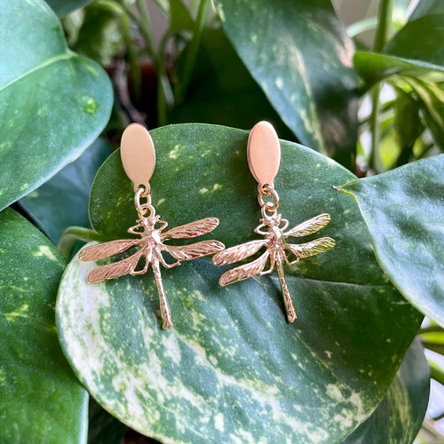 Dragonfly Studs
